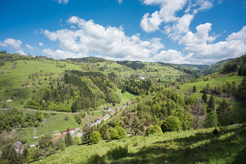 Hotel Gasthaus Adler in Schopfheim